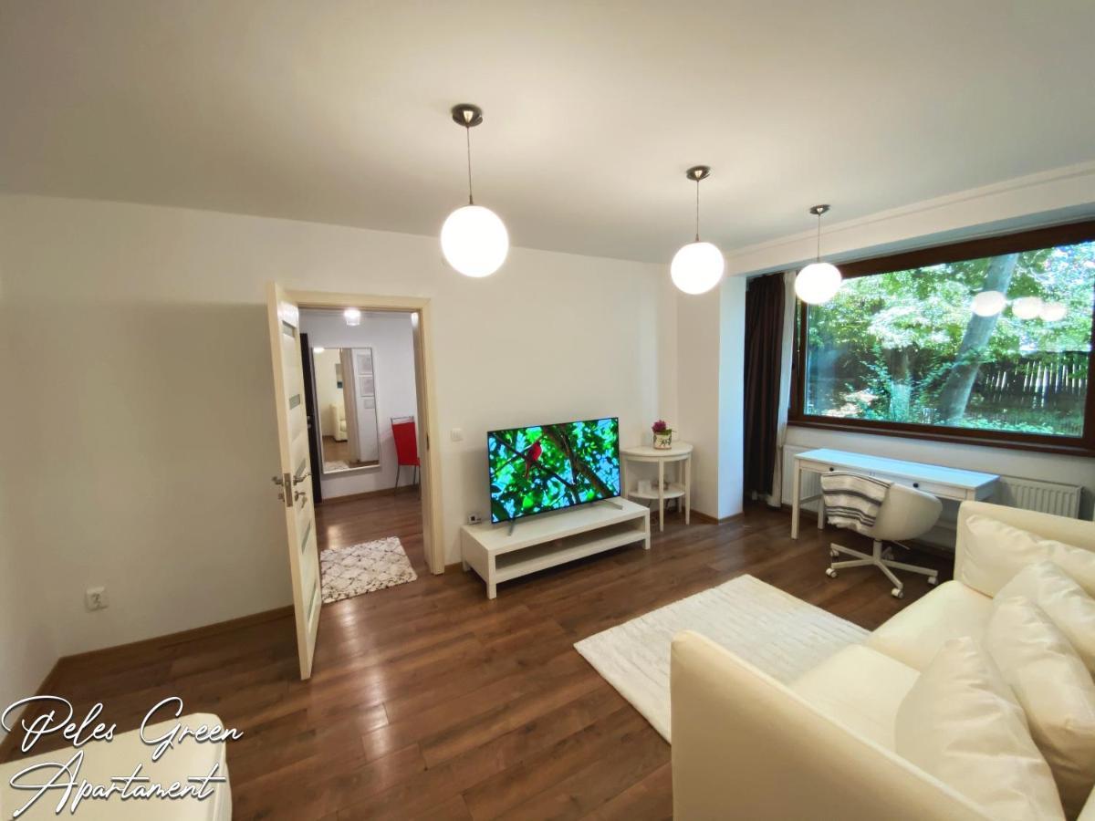 Apartment Peles & Piano *