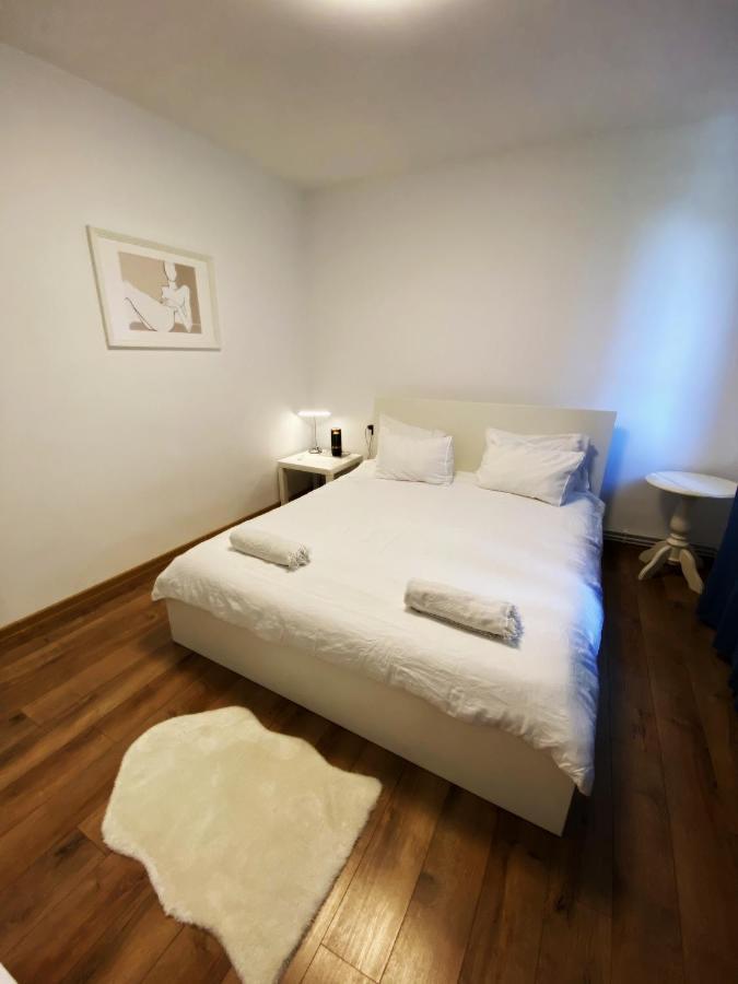 Peles & Piano Apartment Cluj-Napoca