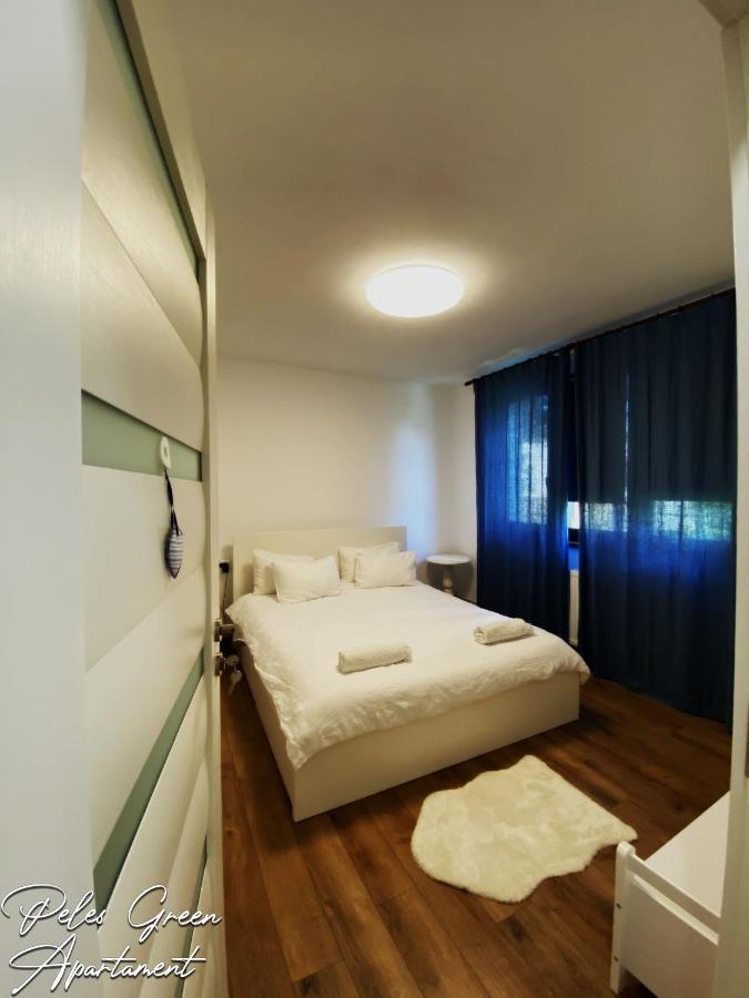 Peles & Piano Apartment Cluj-Napoca
