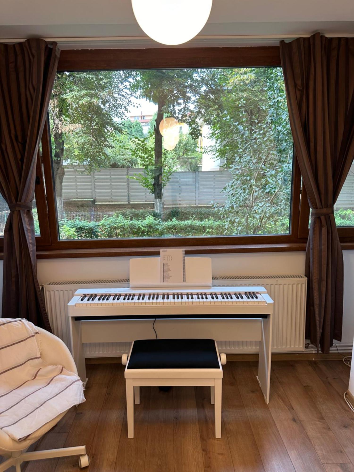 Peles & Piano Apartment *